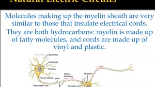 Conceptual Physics Section 12.1