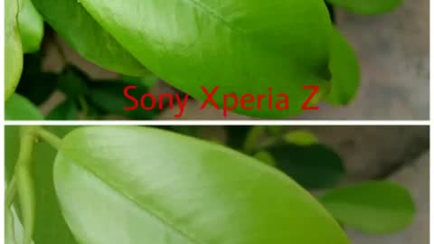 Camera test Sony Xperia Z vs Micromax Canvas infinity (13MP) test picture quality Sony vs Micromax