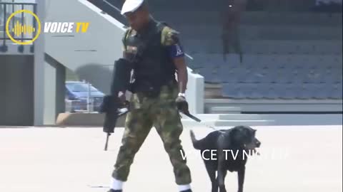 Brillant Security Performance Airforce Dogs