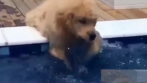 Learning to swim