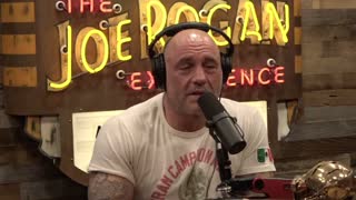 Joe Rogan: Steve-O QUIT Being Vegan! Fake Meat, Processed Soy & Wheat Are TOXIC For YOU!