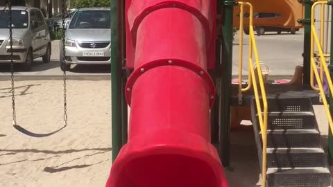 Brown dog slides down red slide and lands in sand