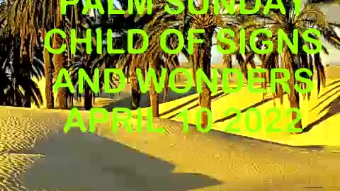 Child of Signs and Wonders Palm Sunday