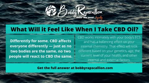 Bobby Rapscallion CBD Q&A: Episode 2