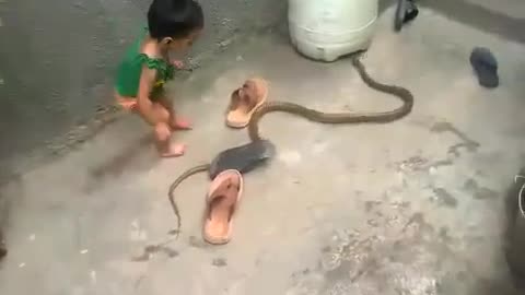 Kid plays with snake in his backyard 😲 😲