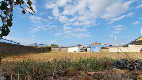 Daily life of a quiet Korean rural village.