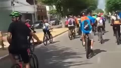 So Funny! Dogs Riding A Bike Surprise Cyclists
