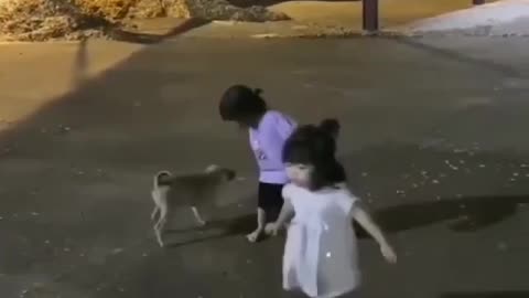 Baby and dog enjoying