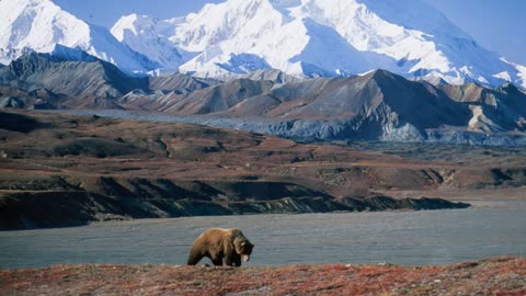 Alaska's Top 5 Affordable Vacations