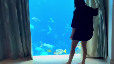 A whole underwater world outside the window at the Atlantis Hotel, UAE.