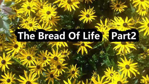 Bible Reading | Bible Study The Bread Of Life Part 2