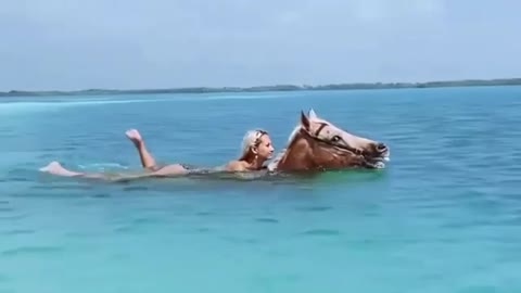 New meaning of seahorse 🌊 🐴 Would you ride a horse here? 🐎