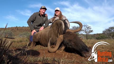 Brett Blue Wildebeest Hunt