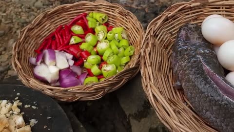 Catch fish Found turtle egg for food- Turtle egg braised with big fish for dinner Survival in forest