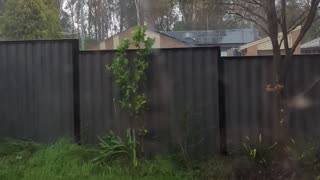 Storm Steals A Fence