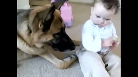 Funny Dogs And Children Funny Videos with your kids