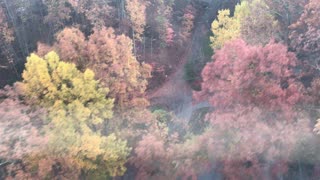 Above the trees in Gatlinburg