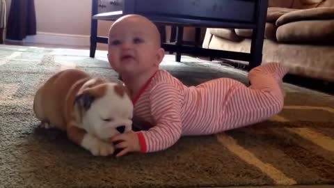 CUTE BABIES LOVE FUNNY DOGS, 😅😁🐶