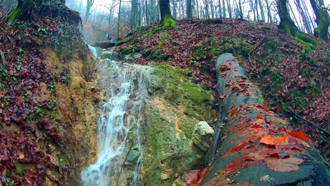 Waterfall and Jungle