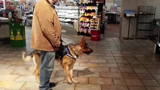 Service dog in Giant Eagle!