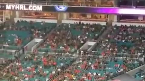 Cat Was Saved From Falling High At Hard Rock Stadium