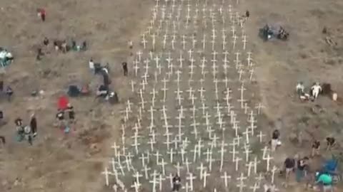 Crosses planted for all the white farmers murdered in south Africa creates a huge cross