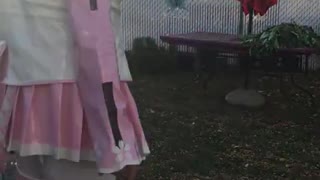 PVC Sakura Miku Twirl