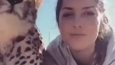 Animals always loyals to humans ( best friendship I've seen in my life )