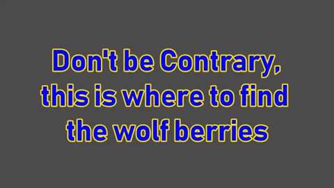 25th Anniversary: Week 23 - Dont be Contrary, this is were to find the wolf berries