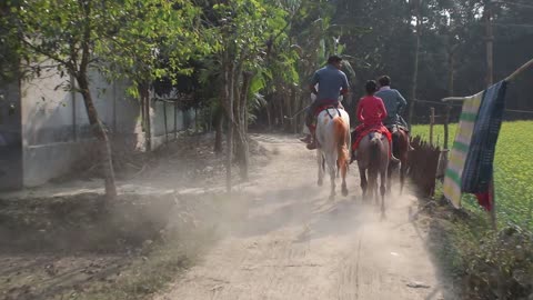 Asian horse race big racer