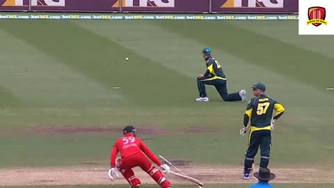 World best run out in cricket history