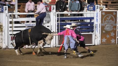 Editorial cowboy falls off bull at the PRCA Oakley rodeo slow motion