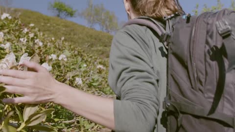 Wondering in the lap of nature. Video Of Woman Runs Her Fingers Over The Flowers