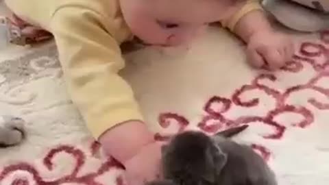 cute cat loving to baby boy