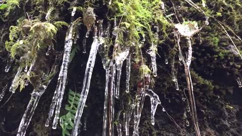 Reflections From Our Gorge Hike