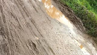 Carretera en mal estado en Carrizal