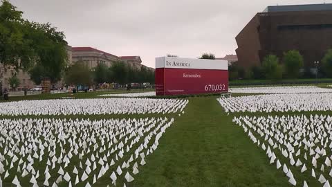 Tiny Flags - Fear Sold - National Mall