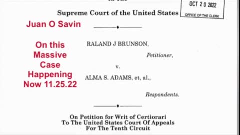 Supreme Court of The United States - Brunson v. Adams