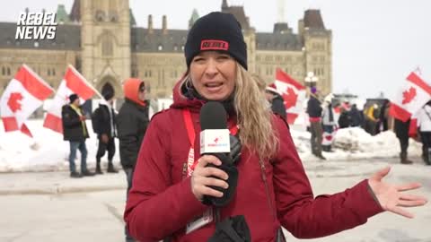 CityNews reporter fired after harassing, insulting Ottawa convoy protesters