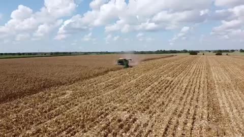 2021 Corn Harvest