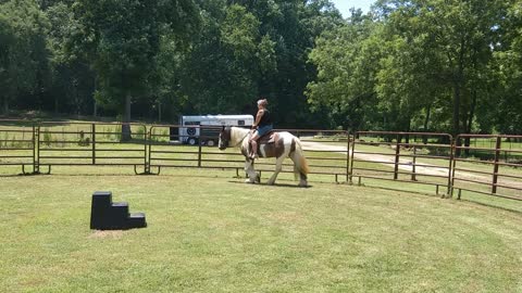 Gypsy Horse Joe's Song Sung Blue - First Ride Part 2