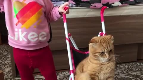 A smart kid take care of funny cat.