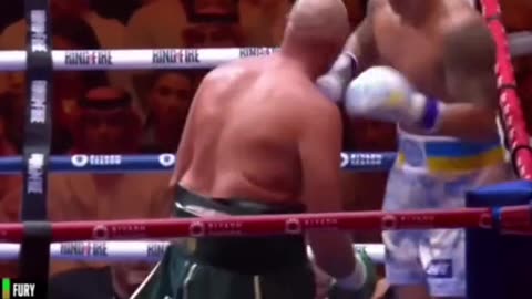 Tyson fury vs usyk