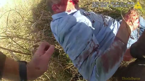 Body camera video shows good Samaritan, deputies rescue man from burning semi