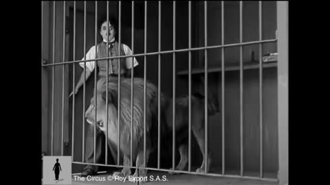 Charles chaplin funny comedy with girl & animal lions