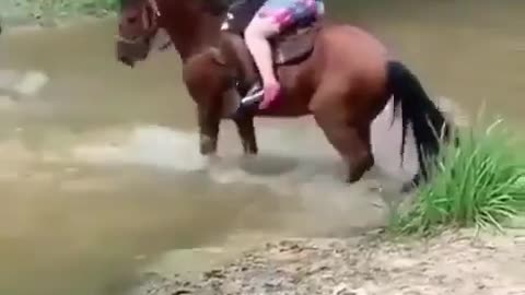 Poor horse 🤣