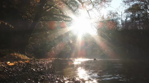 Calming Autumn River
