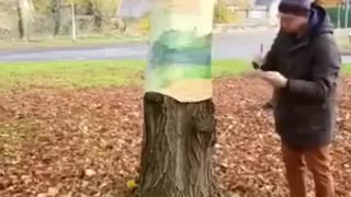 Wonderfull painting on tree you want believe!!!