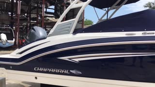 Blasian Babies DaDa Admires Shiny 2019 Chaparral 210 SunCoast After Excel Professional Detailing