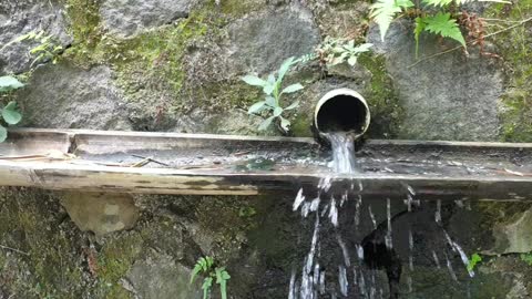 traditional shower using bamboo pipes